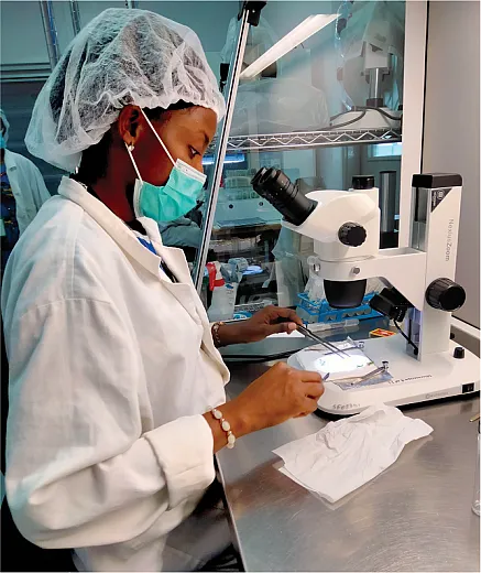 Potato tissue culturing at the International Institute of Tropical Agriculture in Ibadan, Nigeria. Photo by Olayemi Ojeokun.