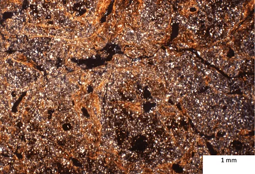 Embedded clay domains (orange and yellow) in the Btg horizon of a fine, smectitic, mesic Vertic Argialboll in Iowa (see image on previous page). Here, in circularly polarized light, the pores are black. Clay coatings and quasicoatings are also associated withmany pores. How many terms unique to soil science do you recognize in this caption, and what story do they suggest about processes related to water and clay in the soil?