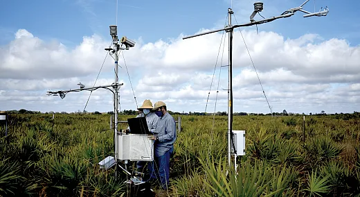 Researchers with the Archbold Biological Station-University of Florida LTAR site collecting eddy covariance data. Photo courtesy of Maria Silveira.