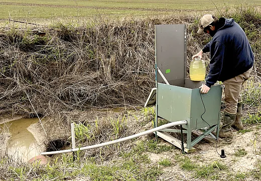 USDA-ARS researcher LeeVi Haas samples runoff from an LTAR field site near Clarksdale, MS. Measuring the quantity and quality of water loss in surface runoff will help scientists assess the contribution of cover crops to a sustainable production system. Photo by John Cook, National Sedimentation Laboratory.
