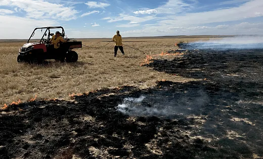 Prescribed burning is an alternative management practice tested at the Archbold Biological Station-University of Florida LTAR site. Photo courtesy of Maria Silveira.