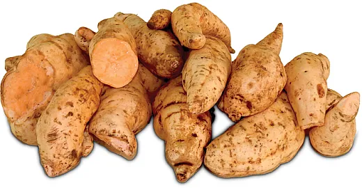 The Alamura variety of orange-fleshed sweet potato (OFSP) is one of 100 bred for various trait âfrom disease and drought resistance to more desirable textureâin sub-Saharan Africa. Photo by Jan Low.