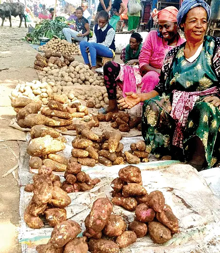 Markets need to sell multiple varieties of orange-fleshed sweet potato (OFSP) because peopleâs preferences and uses vary. Photo by Frezer Asfaw.