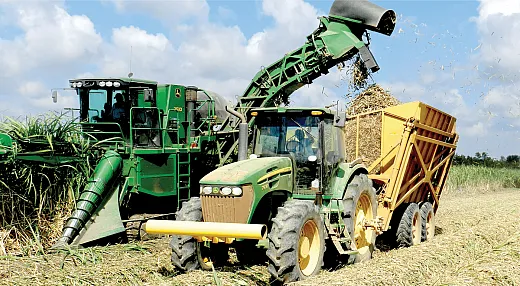 A sugarcane combine in operation on a family farm in Louisiana. Photo courtesy of Kenneth Gravois.