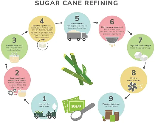 The sugarcane-refining process. Illustration courtesy of The Sugar Association (https://www.sugar.org/).