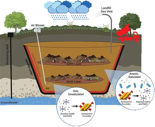 In 2023, Martinus âRienâ van Genuchten received the Wolf Prize in Agriculture âfor his ground-breaking work in understanding water flow and predicting contaminant transport in soils.â This illustration, from a paper in the special section of Vadose Zone Journal by C.M. vanGenuchten et al. (2024; https:// doi.org/10.1002/vzj2.20313), depicts a landfill diagram showing potential arsenic (As) and iron (Fe) reactions in regions consistent with oxic bioreactor landfill construction (oxic, unsaturated regions) and anoxic landfill design (anoxic, saturatedregions). The dark red layer represents the landfill leachate collection system, whereas the black layer represents the landfill liner.