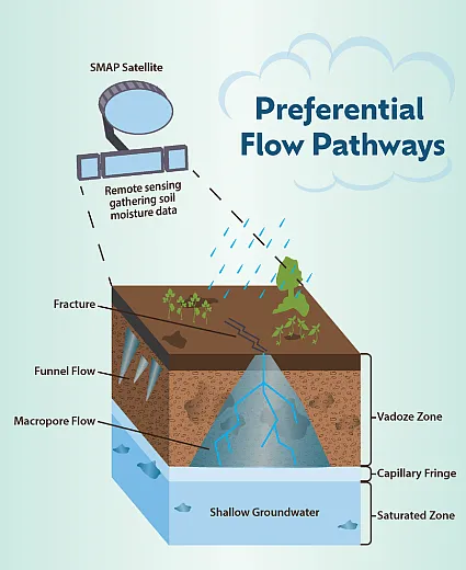 Illustration by Karen Brey.