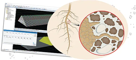 Root illustration courtesy of AldonaGriskeviciene / Alamy Stock.